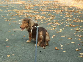 091101-3.jpg