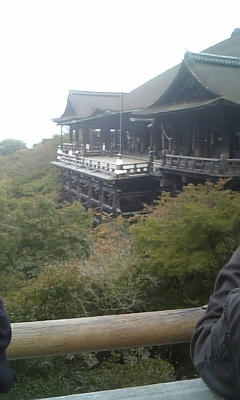 DVC00264.JPG