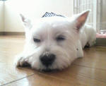 P1000700.jpg
