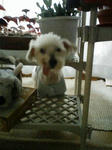 200809021754.jpg