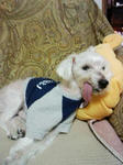 200811041722.jpg