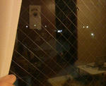 P1000891.jpg