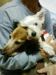 200812041959.jpg