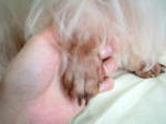 DSCF07341.jpg
