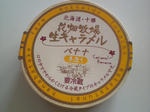 P1001289.jpg