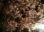 2009040501280000.jpg