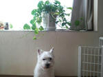 P1001415.jpg