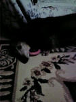 2009052314120000.jpg