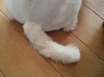 P1001434.jpg