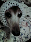 2009060513030000.jpg