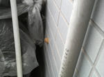 P1001467.jpg