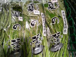 P1001514.jpg