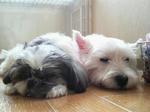 P1001569.jpg