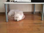 2009073016190000.jpg
