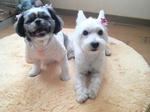P1001617.jpg
