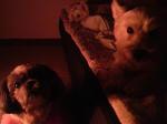 P1001741.jpg
