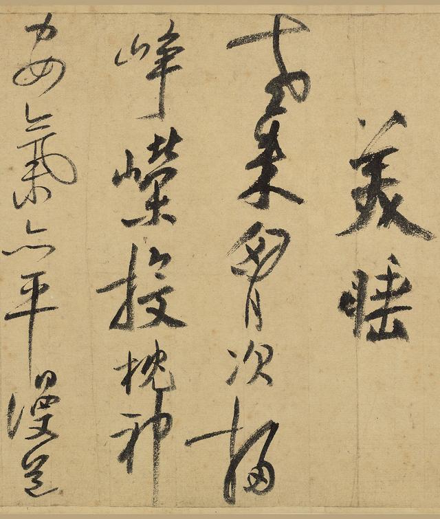 美睡1