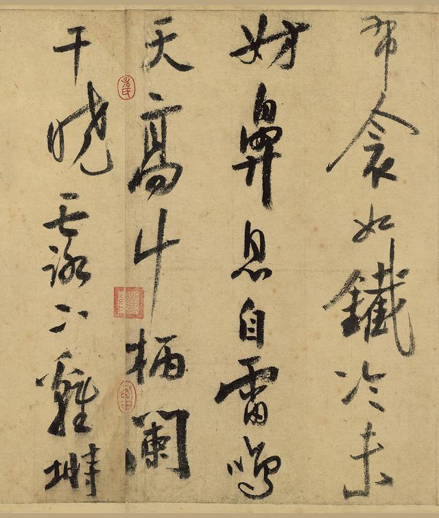 美睡2