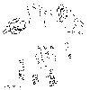 v-22-b3.gif