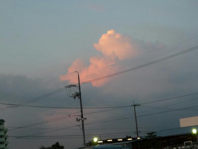 P1050564.JPG