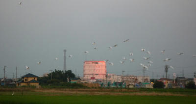 P1050727.JPG