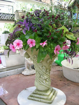 DSCN0832.JPG