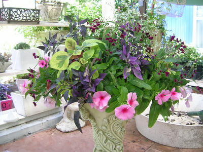 DSCN0835.JPG