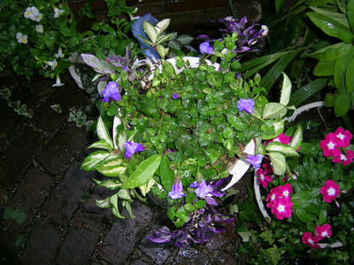 DSCN0842.JPG