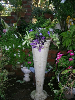 DSCN0843.JPG