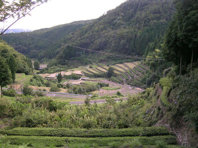 DSCN0879.JPG