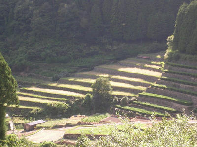 DSCN0883.JPG