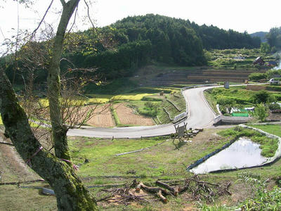 DSCN0913.JPG
