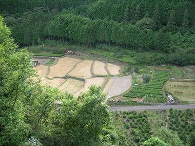 DSCN0923.JPG