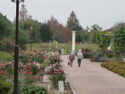 P1010004.JPG