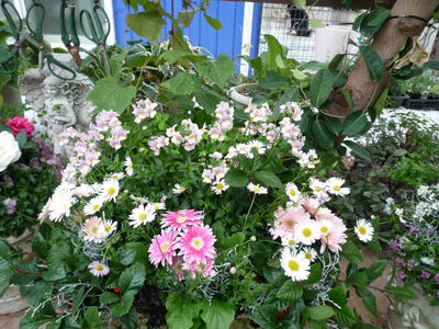 P1010067.JPG