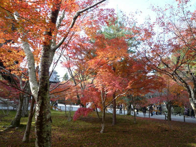 P1010276.JPG
