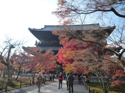 P1010275.JPG