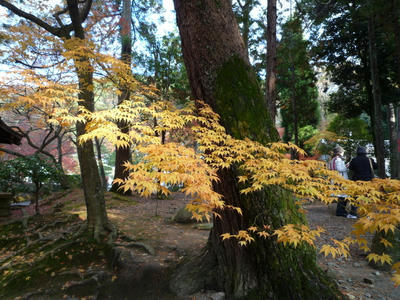 P1010274.JPG