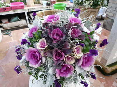 P1010456.JPG
