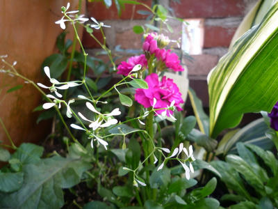 P1010572.JPG