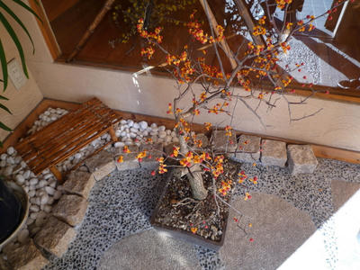 P1010776.JPG
