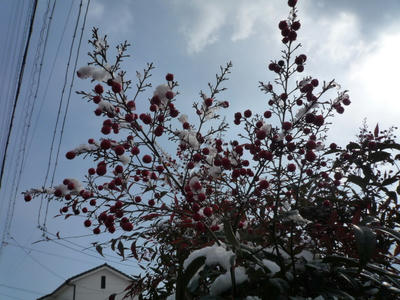 P1010885.JPG