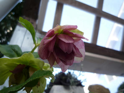 P1010761.JPG