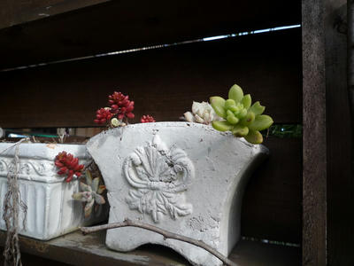 P1010783.JPG