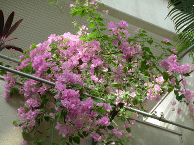 P1020015.JPG