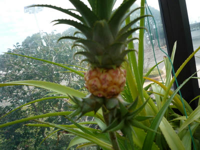 P1020012.JPG