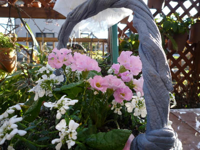 P1020106.JPG
