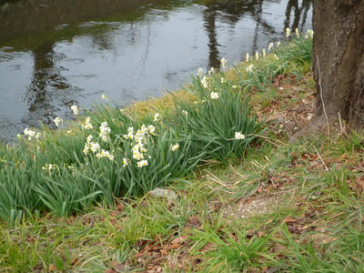P1020050.JPG