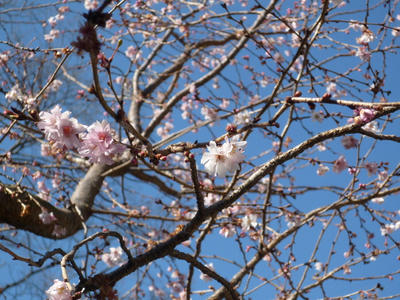 P1020076.JPG