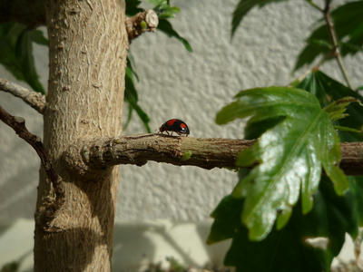 P1020011.JPG